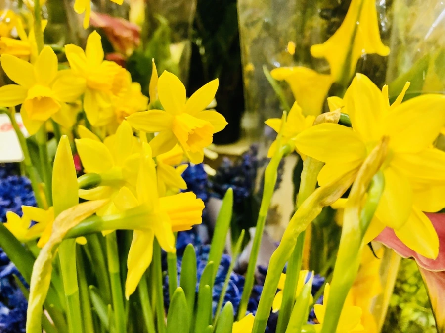 IMG_5522.jpg?type=w966