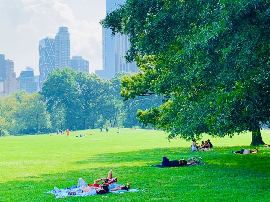 IMG_1701.jpg?type=w966