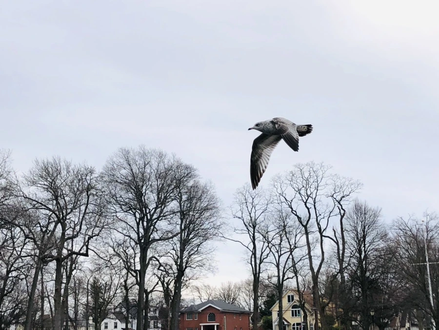 IMG_0985.jpg?type=w966