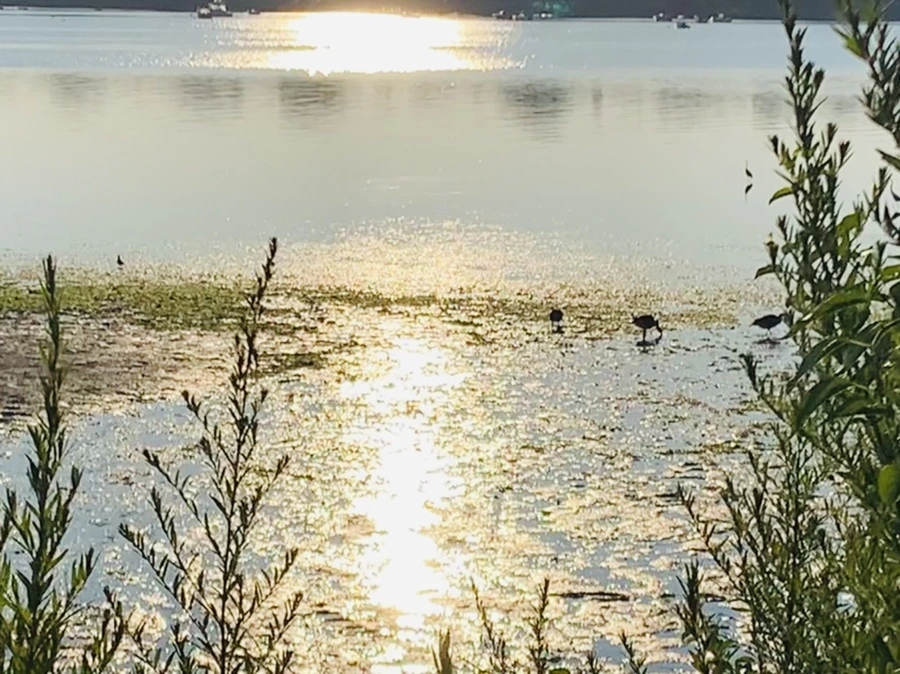 IMG_0441.jpg?type=w966