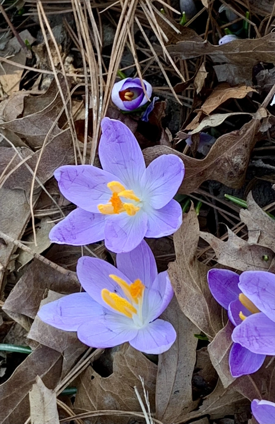 IMG_9731.jpg?type=w966