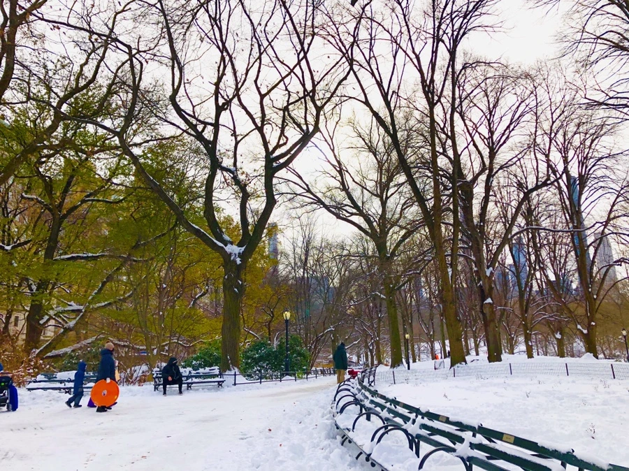 IMG_7268.jpg?type=w966