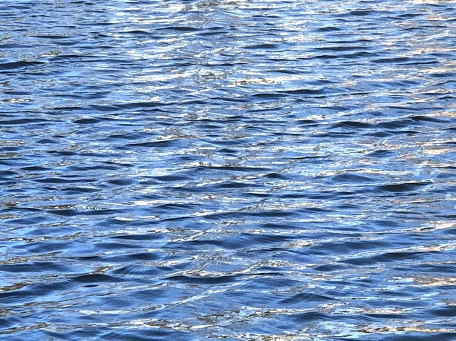 IMG_3848.jpg?type=w966