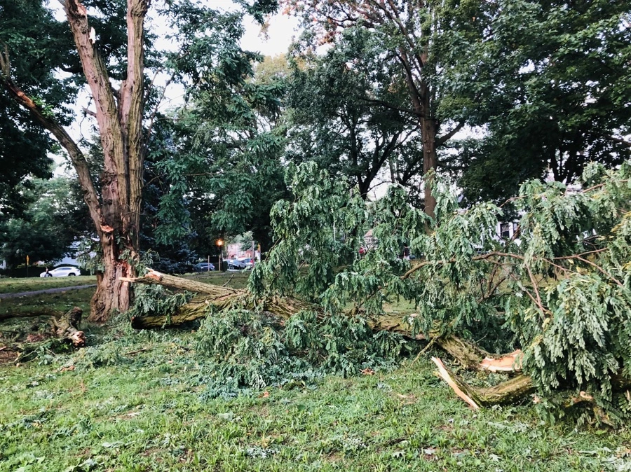 IMG_5843.jpg?type=w966