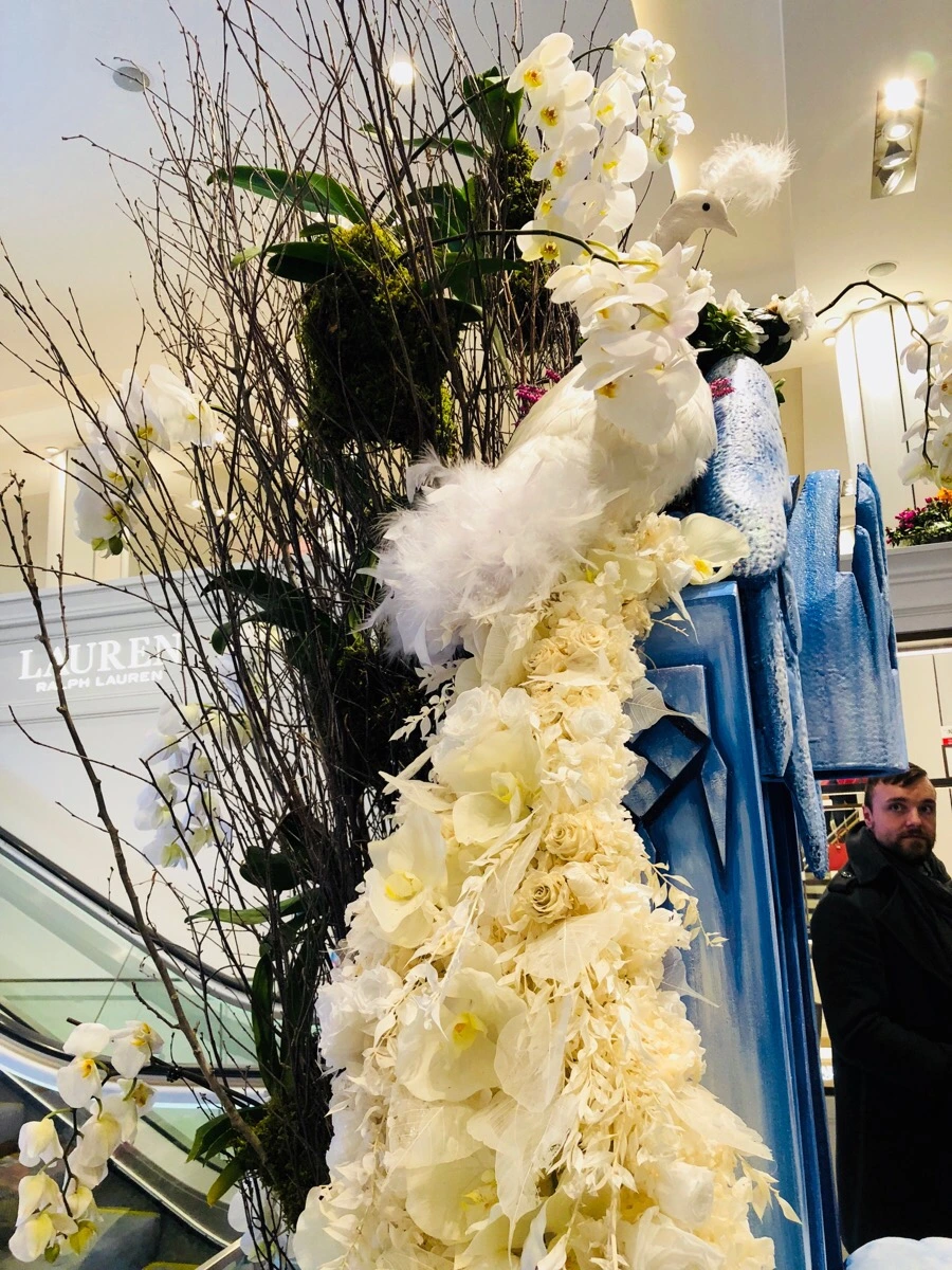 IMG_3712.jpg?type=w966