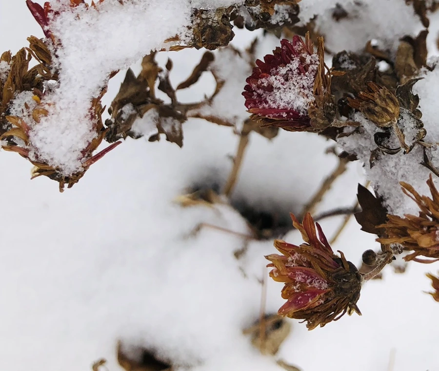 IMG_3313.jpg?type=w966