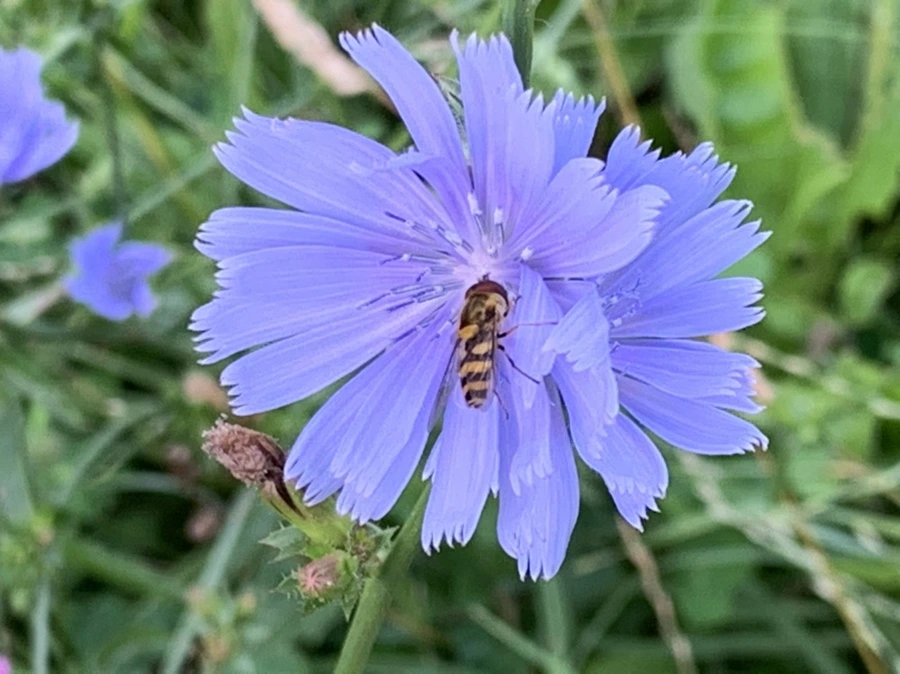 IMG_1629.jpg?type=w966