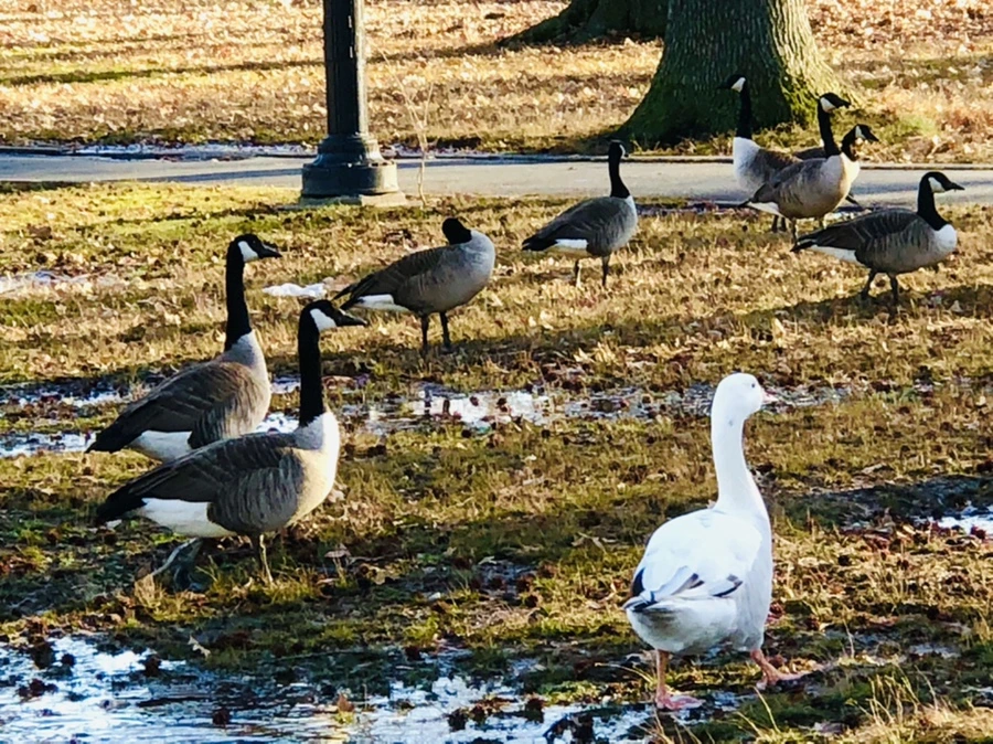 IMG_9302.jpg?type=w966