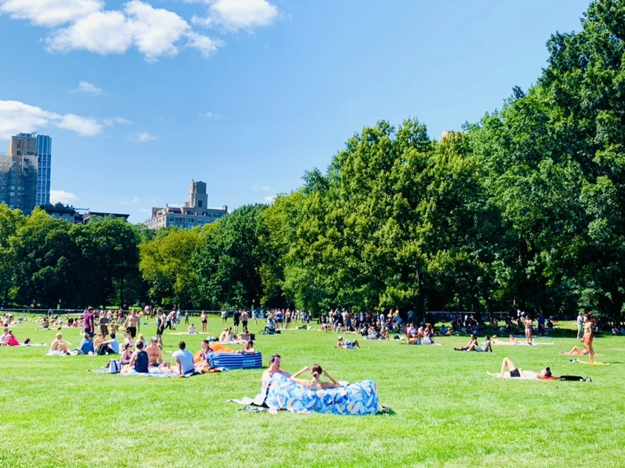 IMG_4382.jpg?type=w966