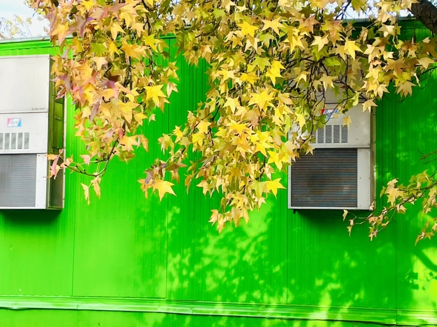 IMG_1019.jpg?type=w966