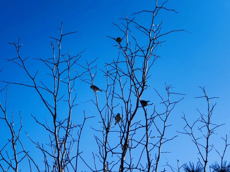 IMG_1386.jpg?type=w966