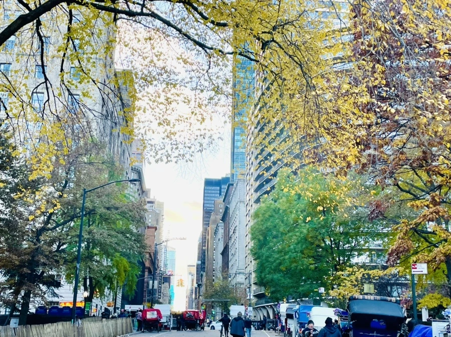 IMG_5079.jpg?type=w966