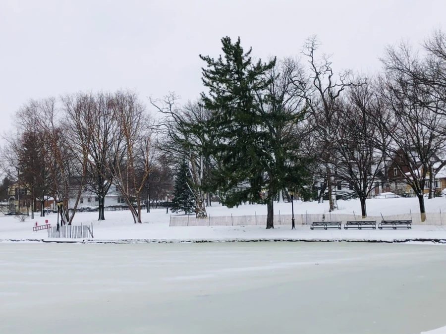 IMG_8961.jpg?type=w966