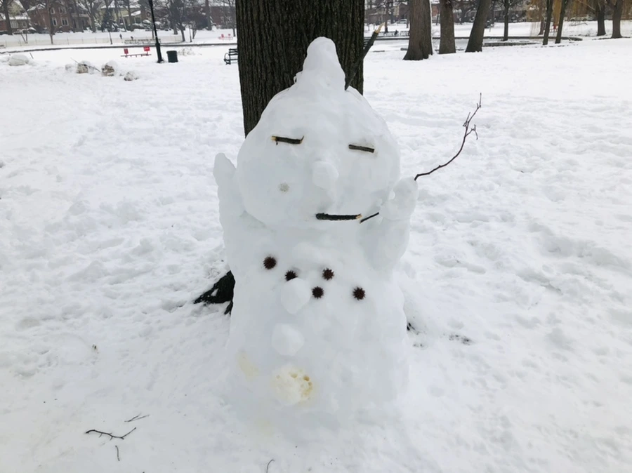 IMG_1561.jpg?type=w966