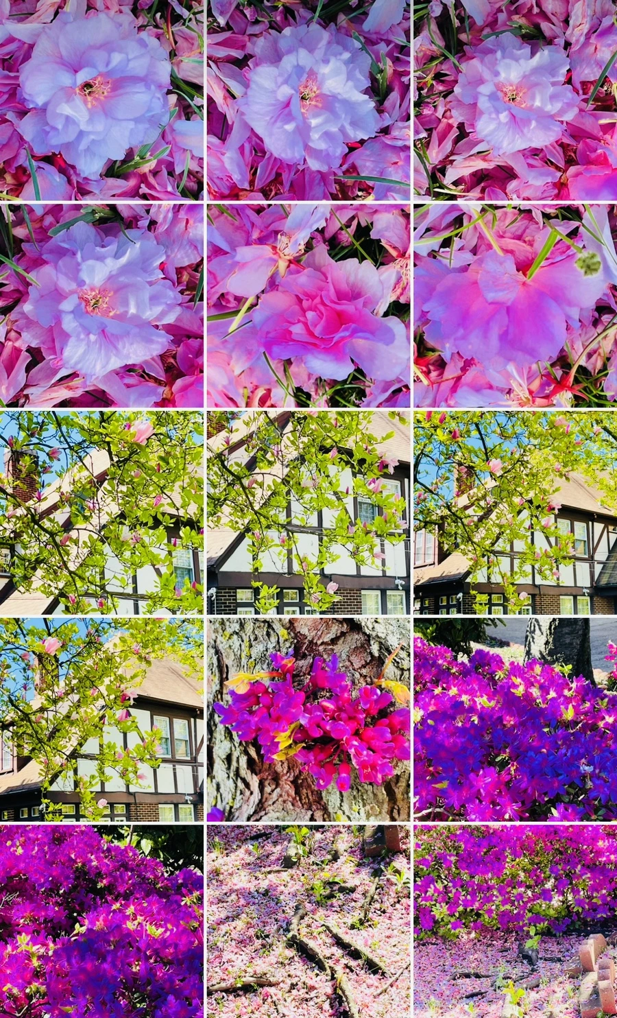 IMG_6197.jpg?type=w966