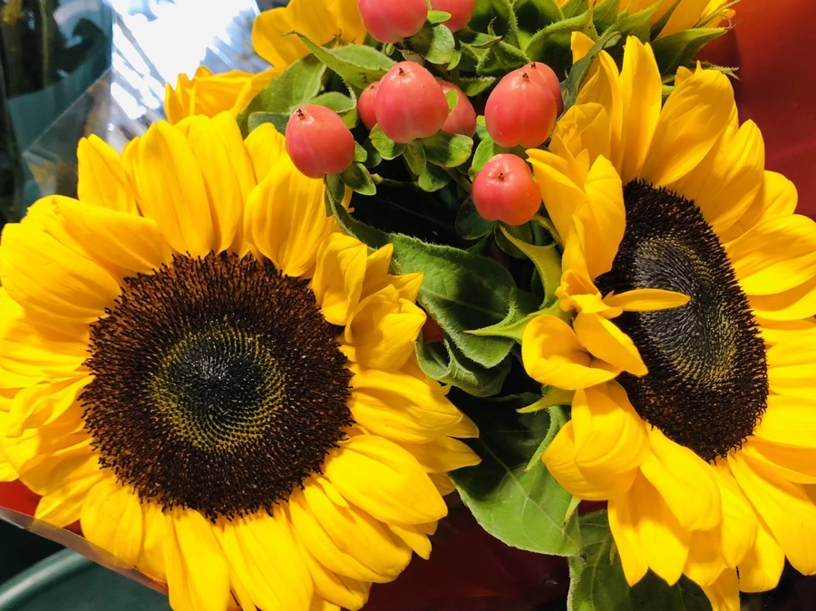 IMG_2975.jpg?type=w966