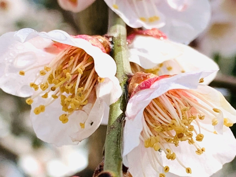 IMG_4002.jpg?type=w966