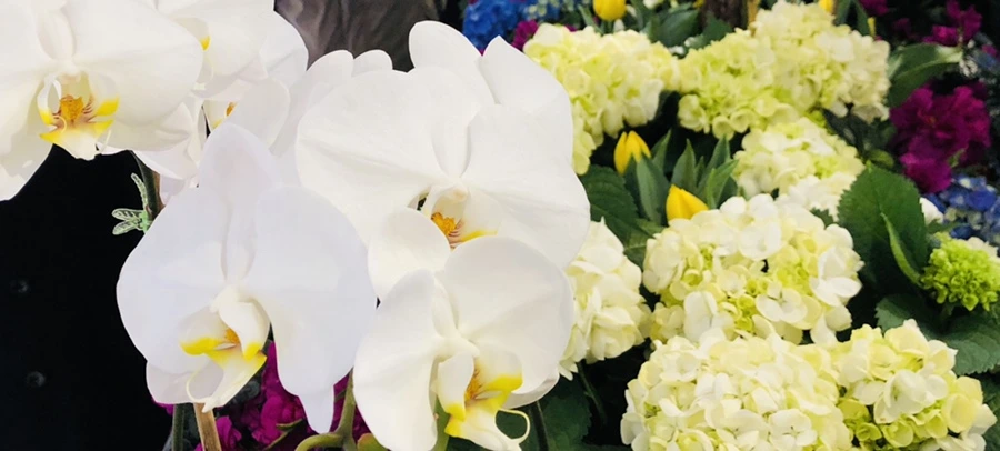 IMG_1857.jpg?type=w966