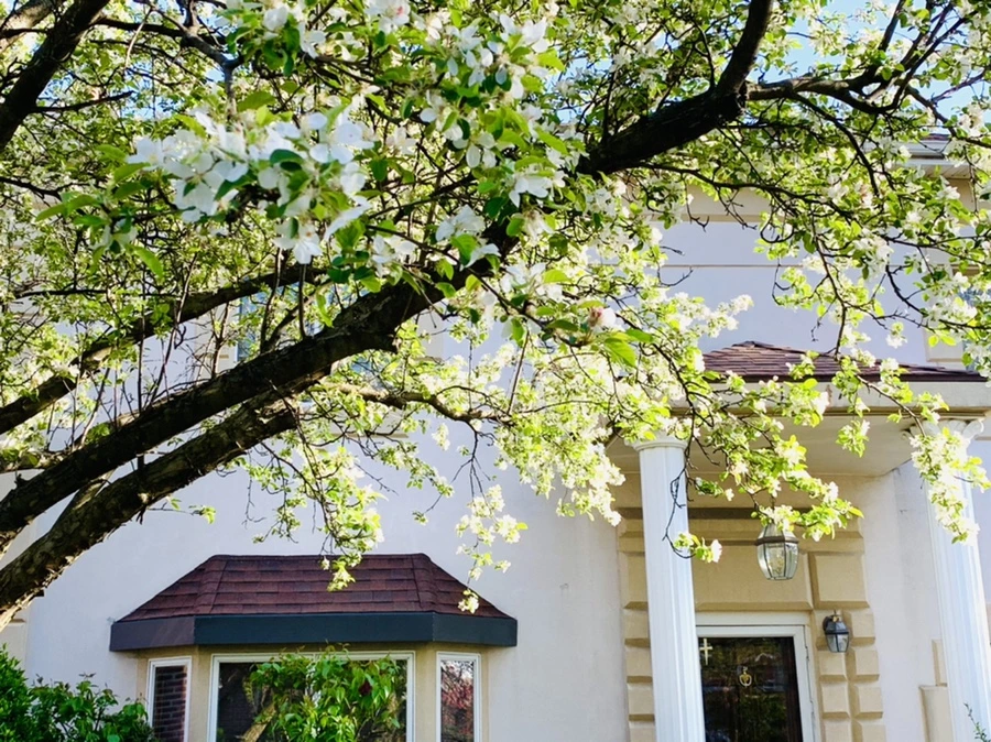 IMG_5057.jpg?type=w966