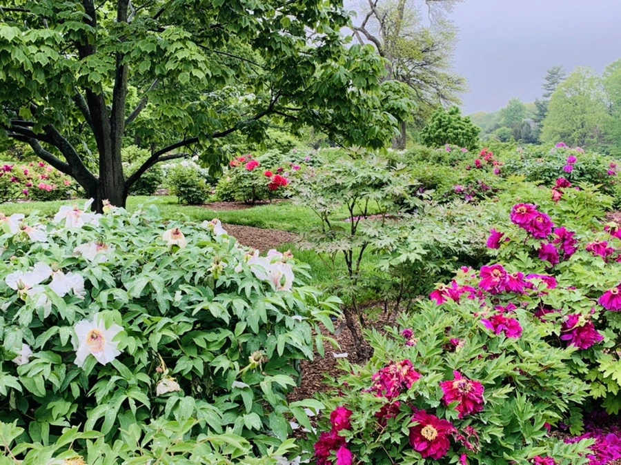 IMG_9987.jpg?type=w966