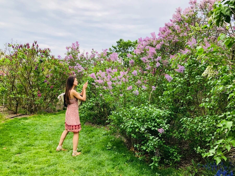 IMG_5472.jpg?type=w966