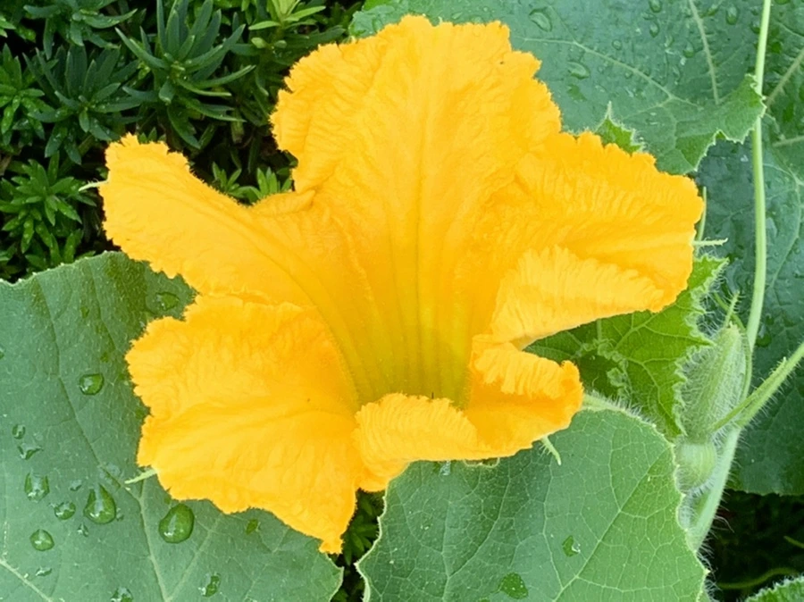 IMG_9090.jpg?type=w966