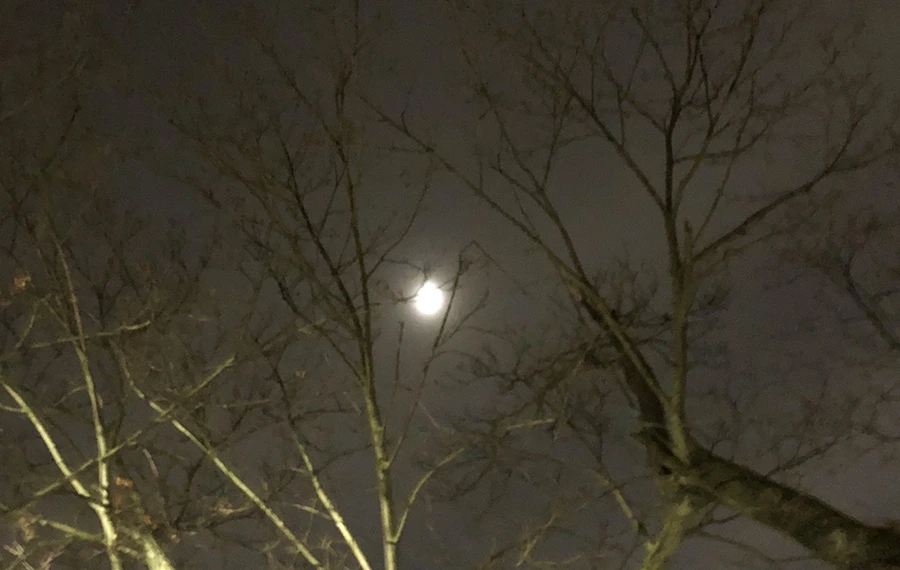 IMG_7654.jpg?type=w966