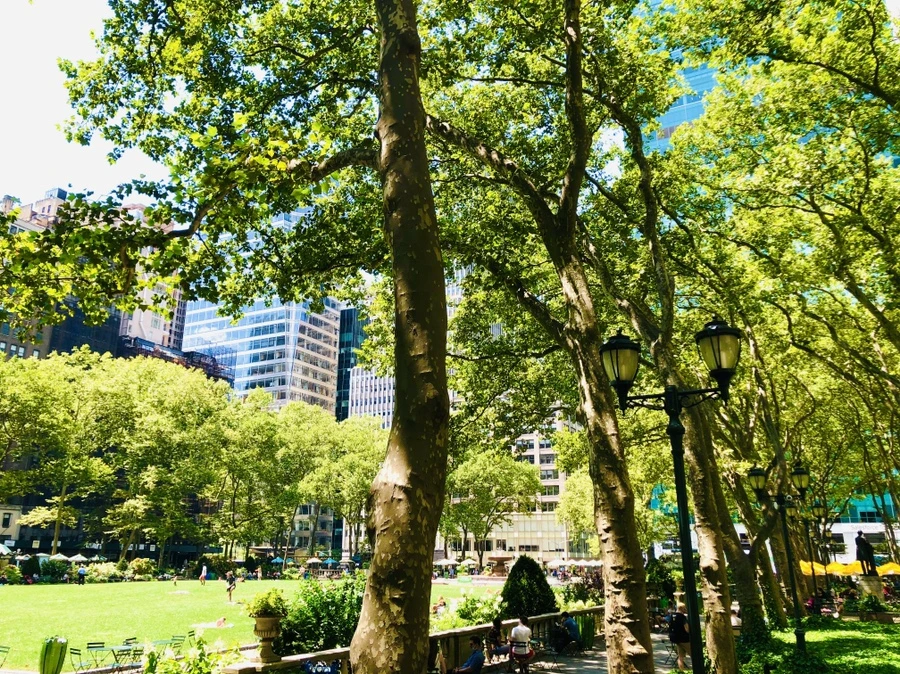 IMG_5284.jpg?type=w966