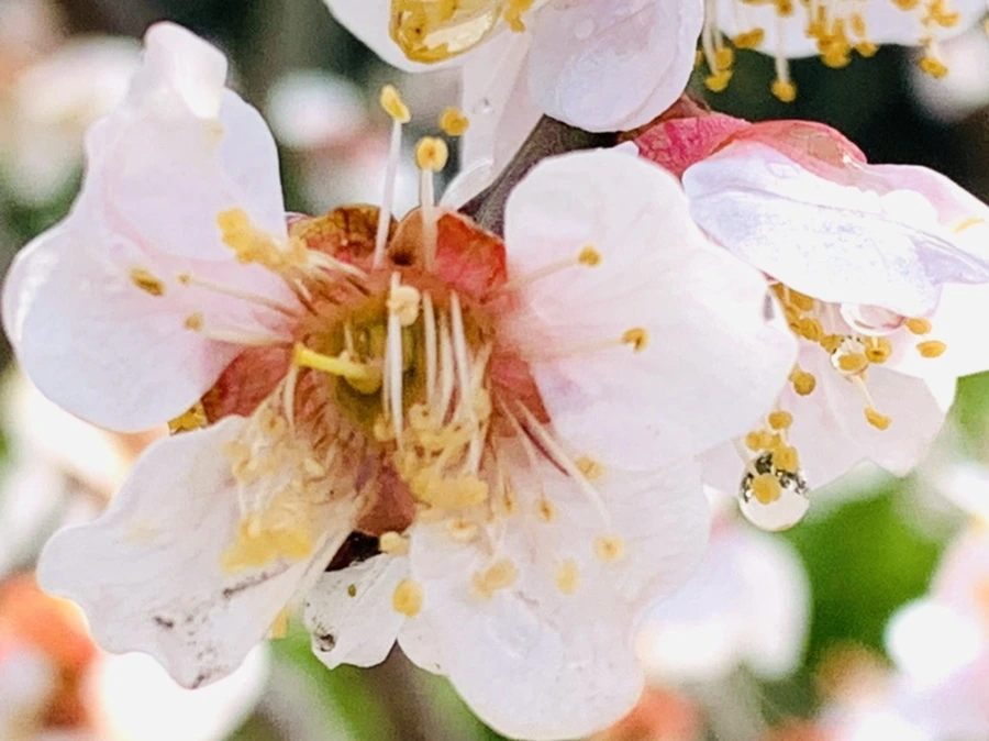 IMG_3997.jpg?type=w966