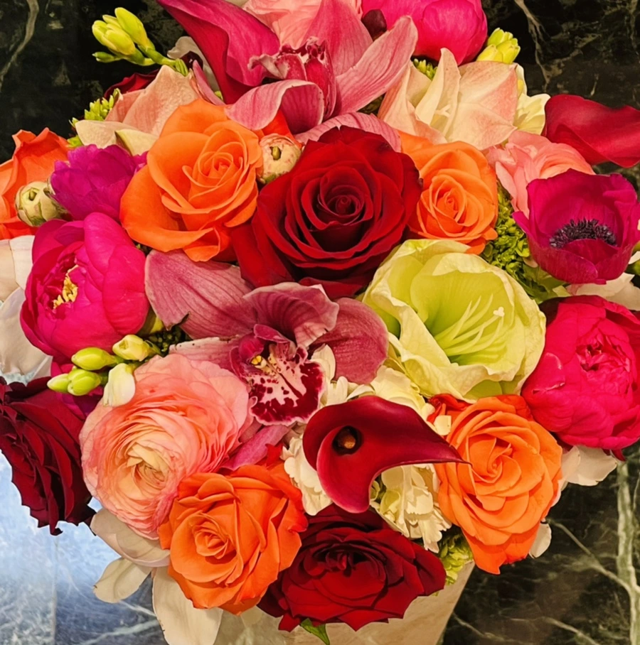 IMG_4291.jpg?type=w966