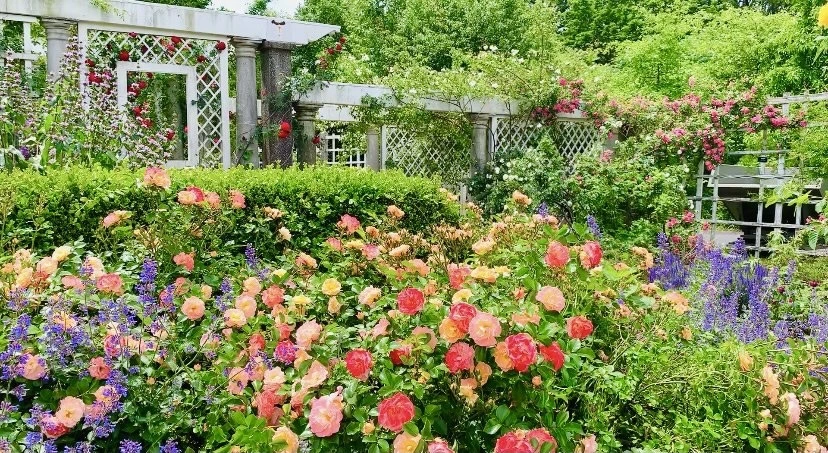 PW8SECK61T3wvQme8Ai3CLbndqo