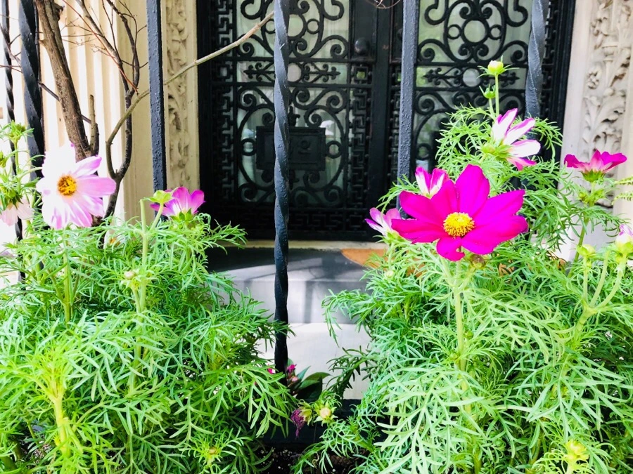 IMG_6556.jpg?type=w966