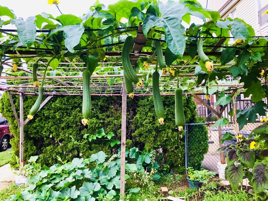 IMG_4161.jpg?type=w966