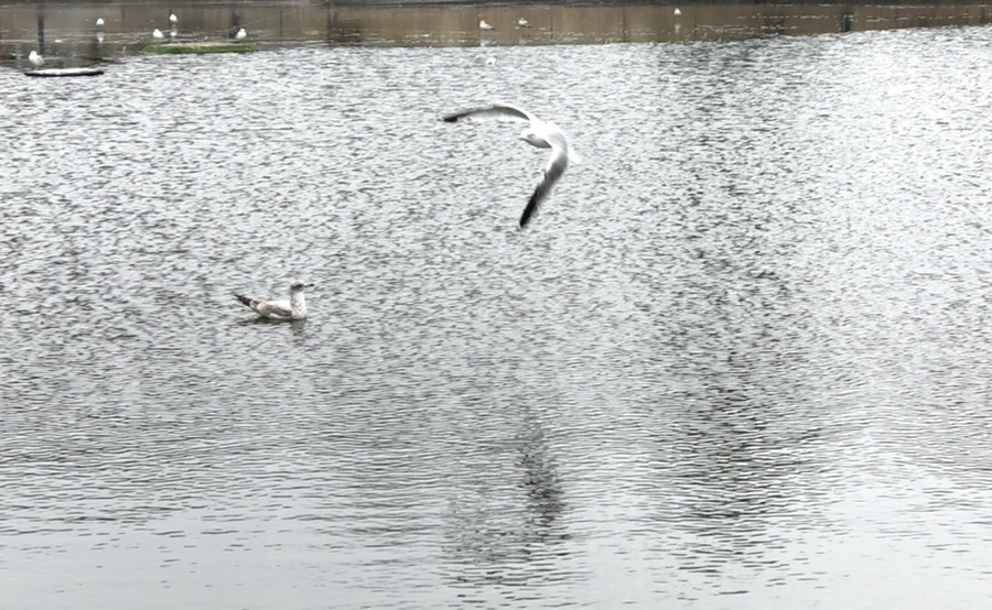 IMG_3222.jpg?type=w966