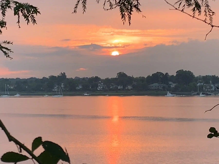 IMG_0216.jpg?type=w966