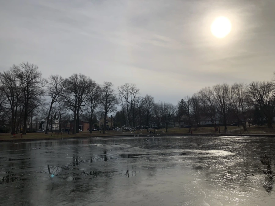 IMG_2024.jpg?type=w966