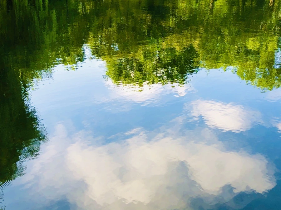 IMG_2933.jpg?type=w966