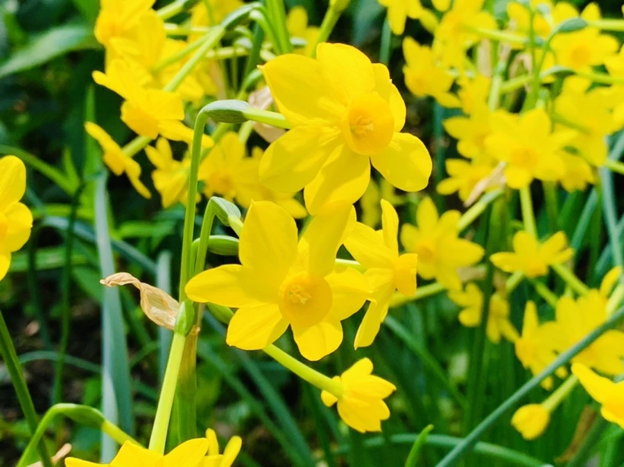 IMG_1209.jpg?type=w966