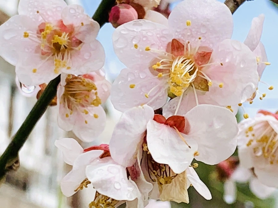 IMG_3936.jpg?type=w966