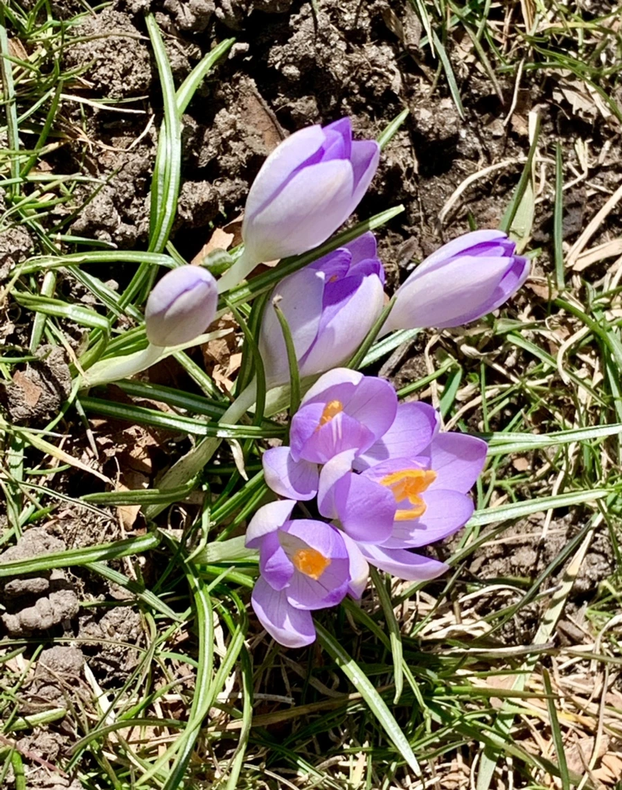 IMG_8199.jpg?type=w966