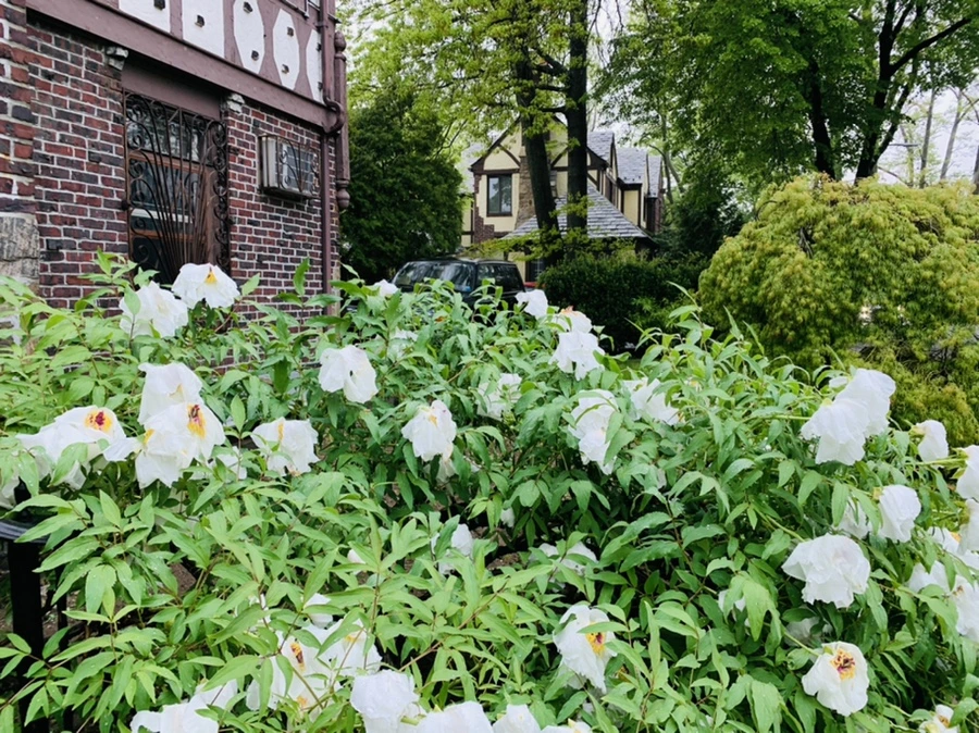 IMG_9310.jpg?type=w966