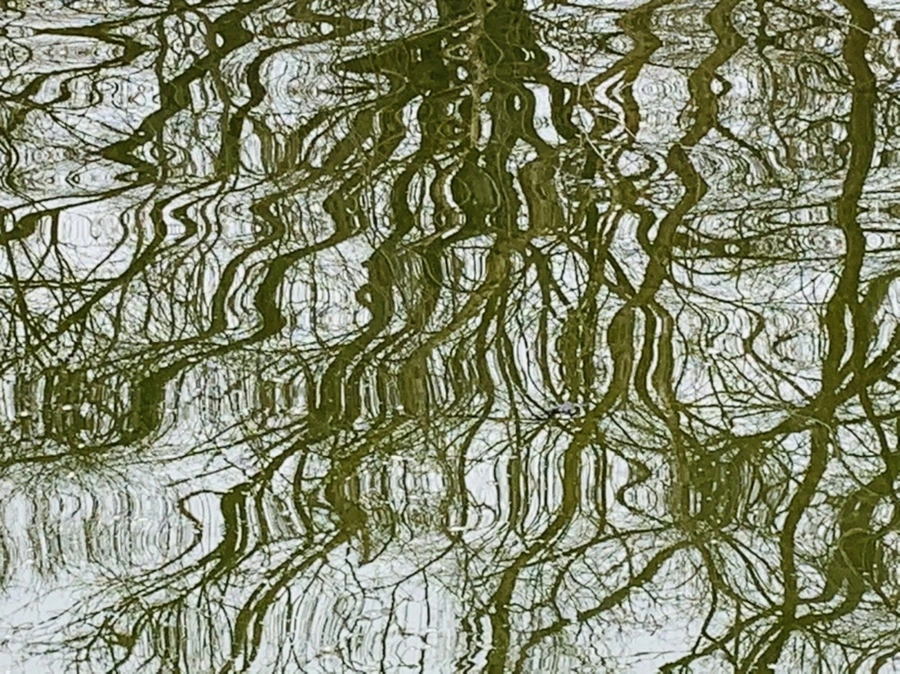 IMG_3860.jpg?type=w966