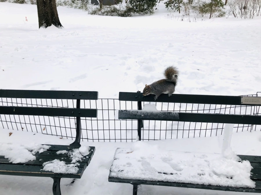 IMG_9121.jpg?type=w966