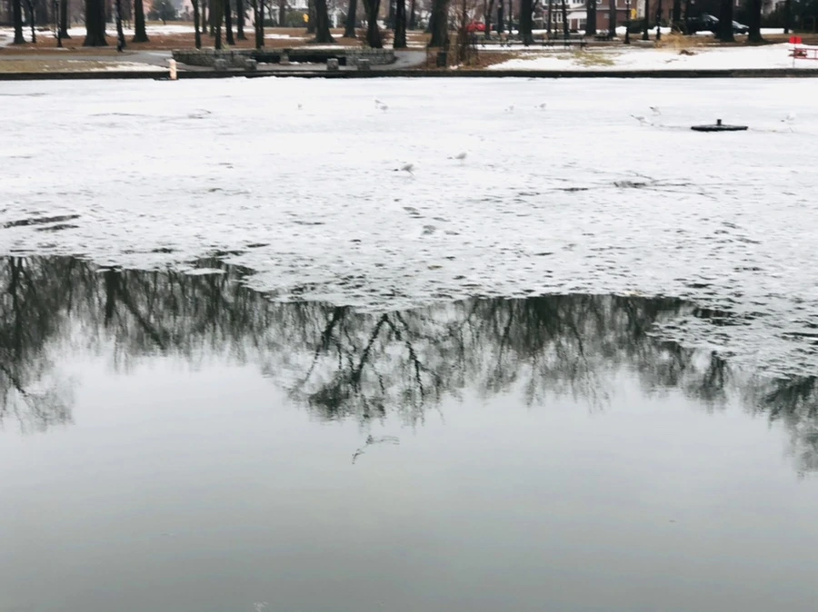 IMG_5484.jpg?type=w966