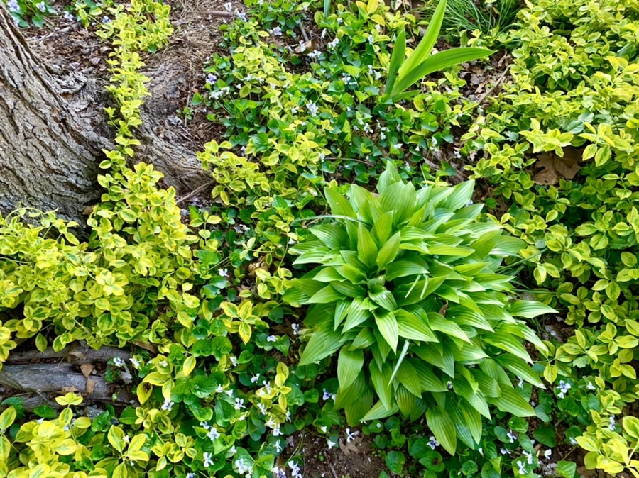 IMG_4114.jpg?type=w966