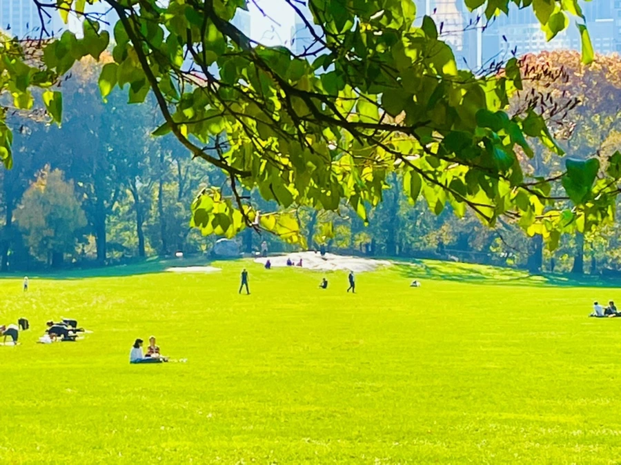 IMG_1686.jpg?type=w966