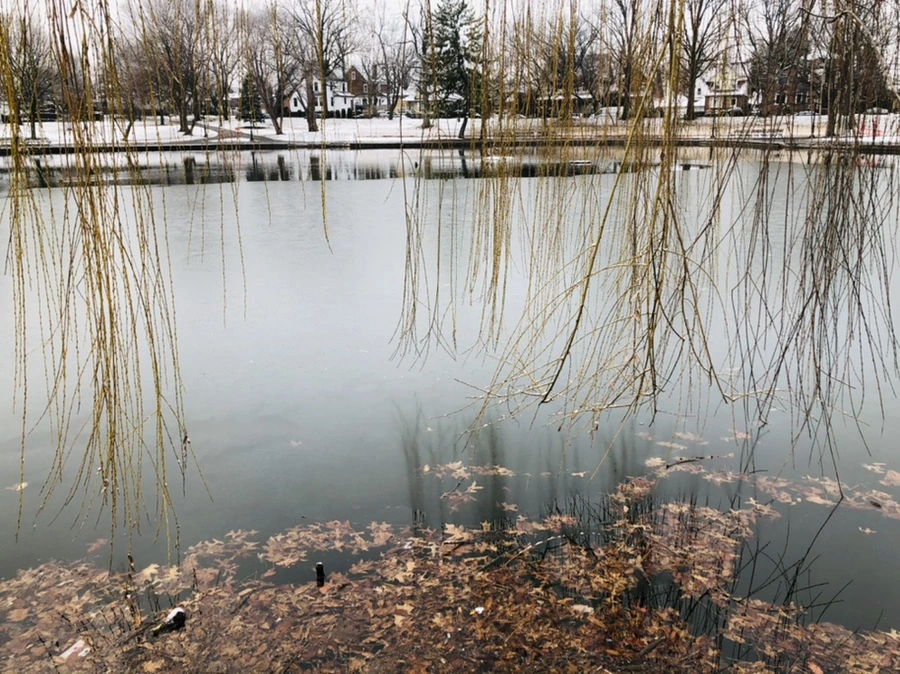 IMG_4557.jpg?type=w966