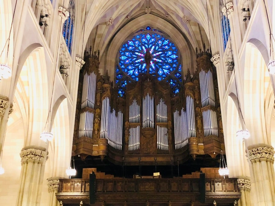 IMG_7065.jpg?type=w966