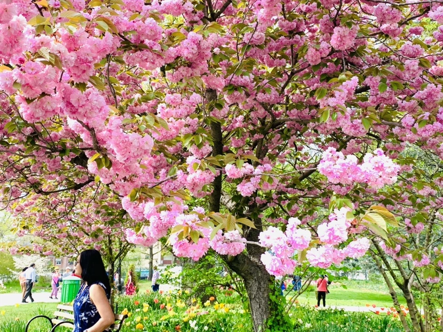 IMG_6997.jpg?type=w966