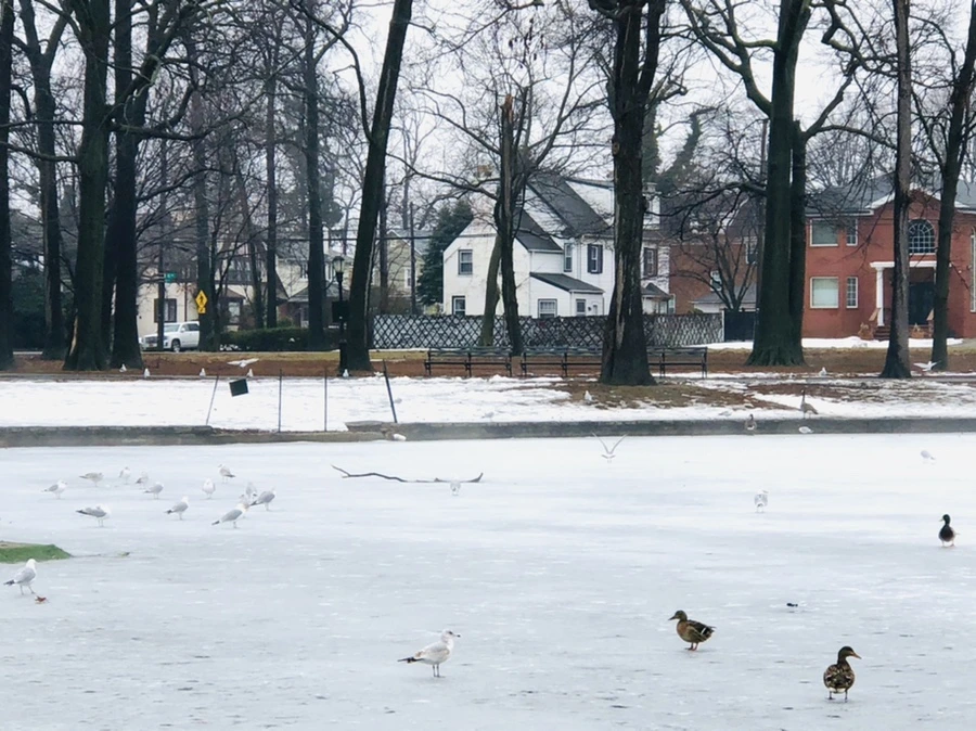 IMG_5746.jpg?type=w966